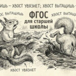 Что стоит за введением нового ФГОС 10 — 11 классов