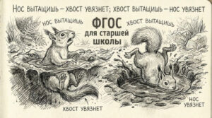 Что стоит за введением нового ФГОС 10 — 11 классов